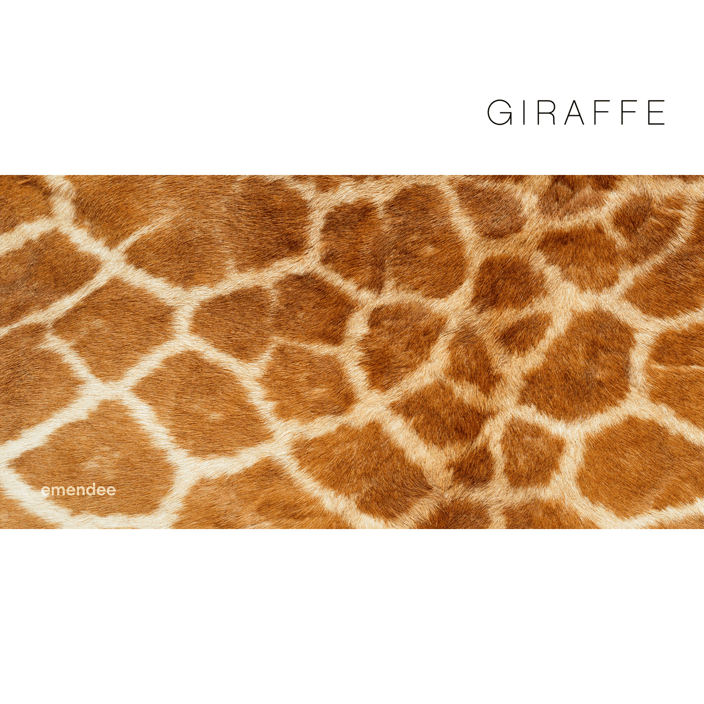 Boomerang Workstation