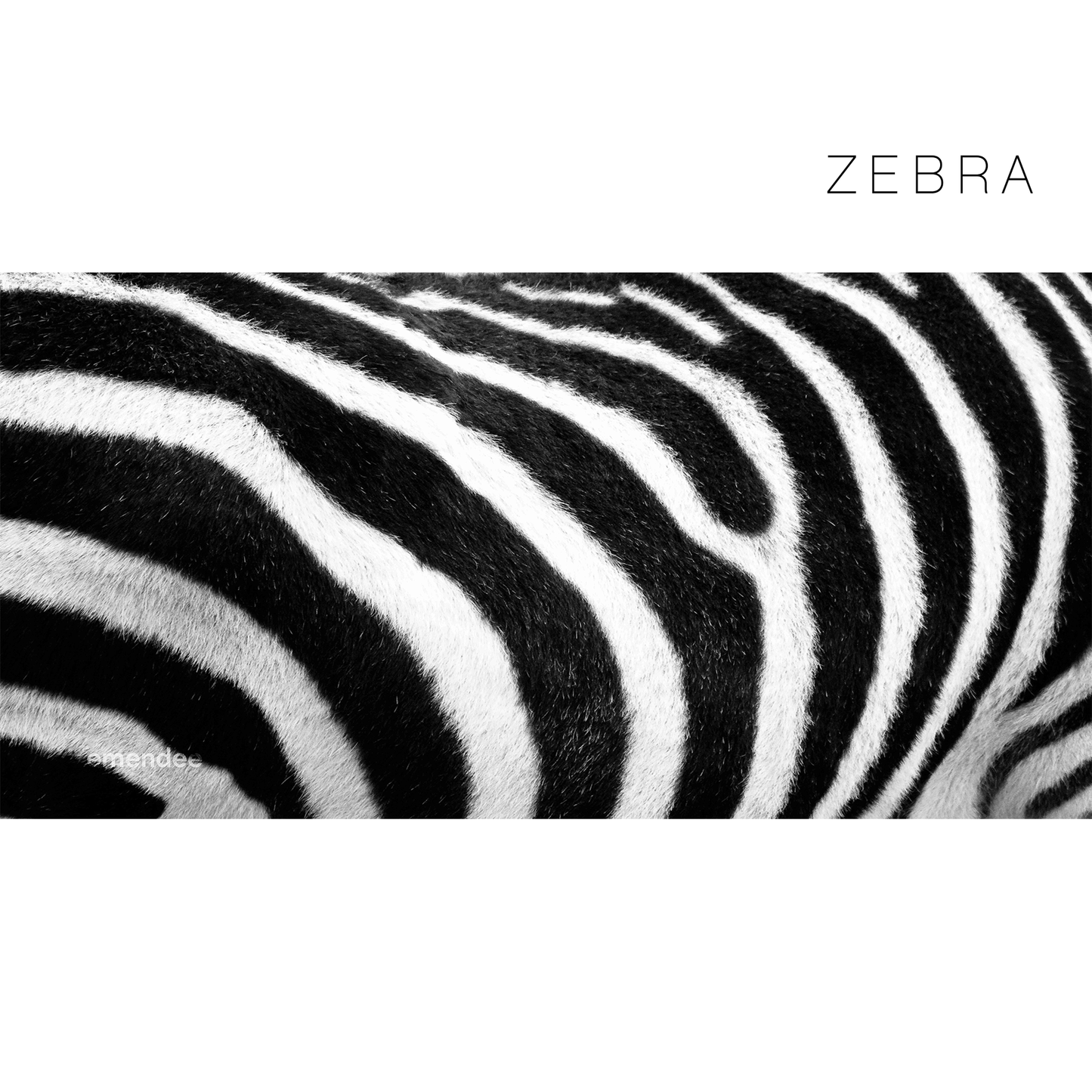 Boomerang Workstation